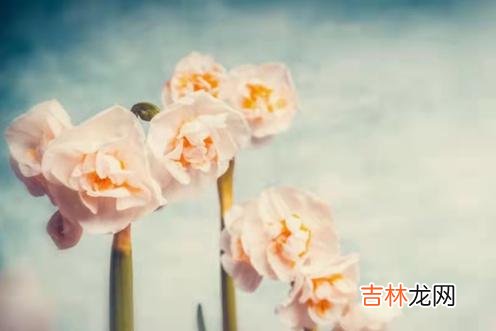 为什么有些男人老了还要坚持找老伴儿？在我们一贯的认知里 为什么有些男人老了还找老伴儿？这些原因很现实
