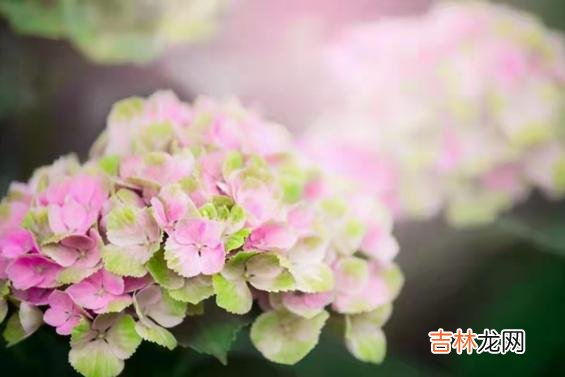 为什么有些男人老了还要坚持找老伴儿？在我们一贯的认知里 为什么有些男人老了还找老伴儿？这些原因很现实