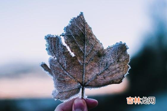 中国人有一句古话叫作：有福之人不用忙 一个人是不是有福之人，看这三个地方就知道了