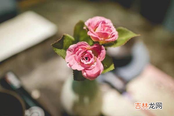 中国人有一句古话叫作：有福之人不用忙 一个人是不是有福之人，看这三个地方就知道了