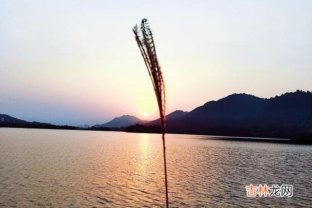 如果一个人经常在微信上敷衍你，说明他不喜欢你