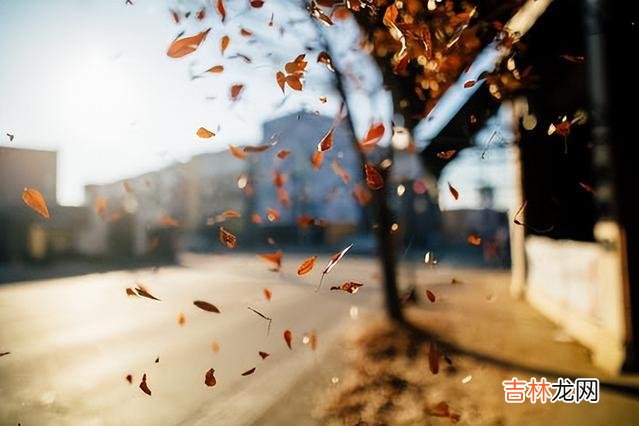 如果一个人经常在微信上敷衍你，说明他不喜欢你