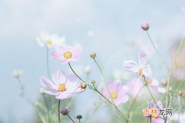 人到中年 到了中年，如果一个人依然在以下四件事上保持高调