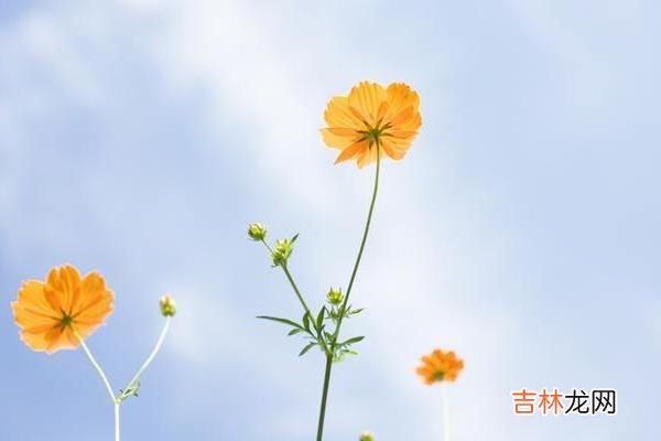 人到中年 到了中年，如果一个人依然在以下四件事上保持高调