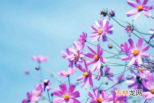 人到中年 到了中年，如果一个人依然在以下四件事上保持高调
