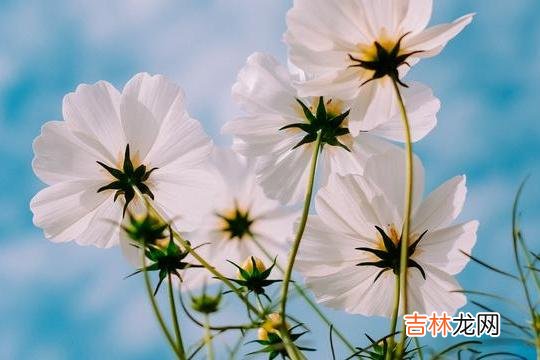人到中年 到了中年，如果一个人依然在以下四件事上保持高调