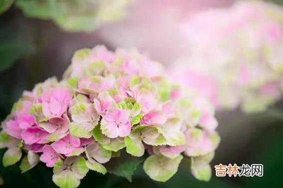 这个世界上有百分百完美的伴侣和百分百完美的婚姻吗？没有。|大龄剩女，过了40岁才发现一个残酷真相