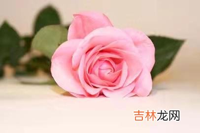 这个世界上有百分百完美的伴侣和百分百完美的婚姻吗？没有。|大龄剩女，过了40岁才发现一个残酷真相