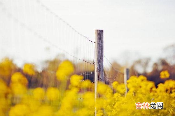 每个人身边都离不开朋友 人到中年，这三种人的家就不要去了，没必要自寻烦恼