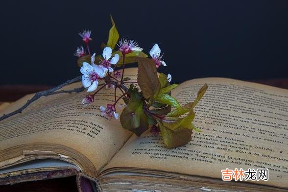 其实 朋友之间送礼有讲究，这四种送礼方式最好不要送
