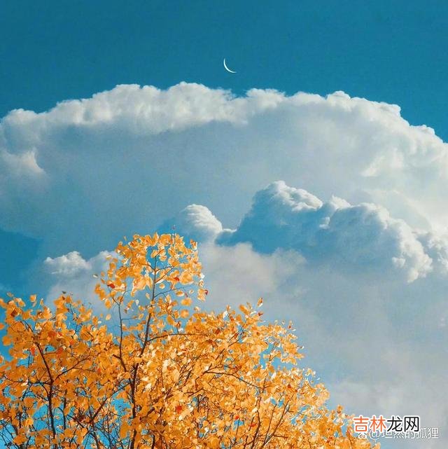 写在开始：佛家对人生...|男人心里有了“相思”，再见面的时候，他会难掩心境