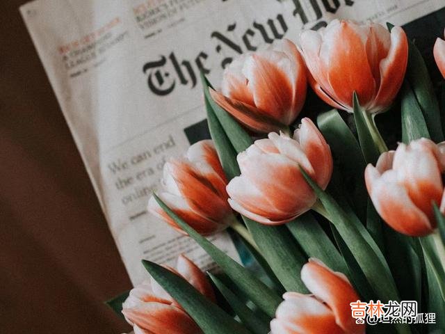 爱情 大多数女人，当有了婚外的“亲密关系”，她会表现出这两个样子