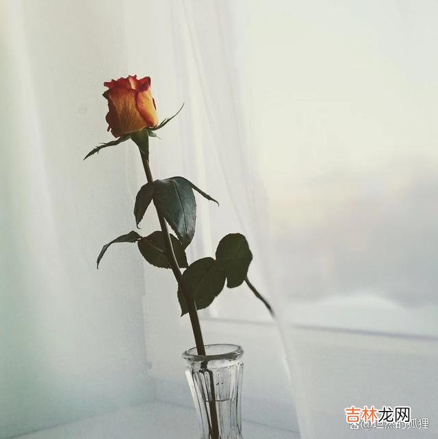 看到一个女孩发的帖子：“君生我未生 女人一定要清醒，当你和他“越界”的一刹那，你就已经注定会受伤