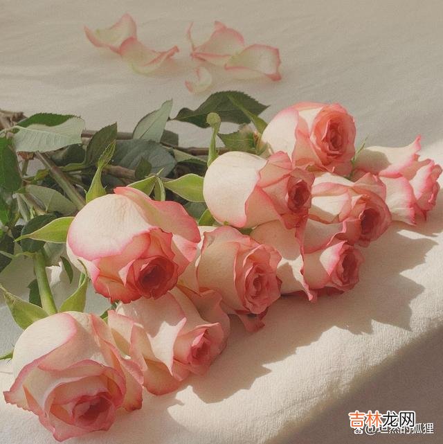 每个人 一个女人,在情爱里,她的这两点:心怀“淡然”,身有“古意”