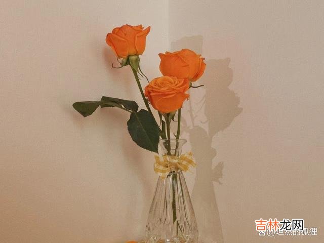 -01-爱一人 一个善于“装糊涂”的女人,她不是傻,而是会经营婚姻