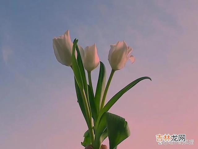 张爱玲曾在小说里 背叛后的沉默，是曾经深爱过后的“豁达”