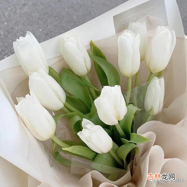 都说 如果你没有以下这三样本事,就别轻易嫁给一个离过婚的男人