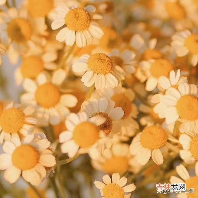 看到一句话：传说 人与人之间的情感，一定要动之于情，才能真正地迈向爱情