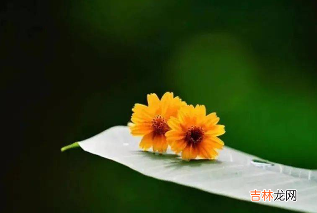 有一种关系，叫“舒服”