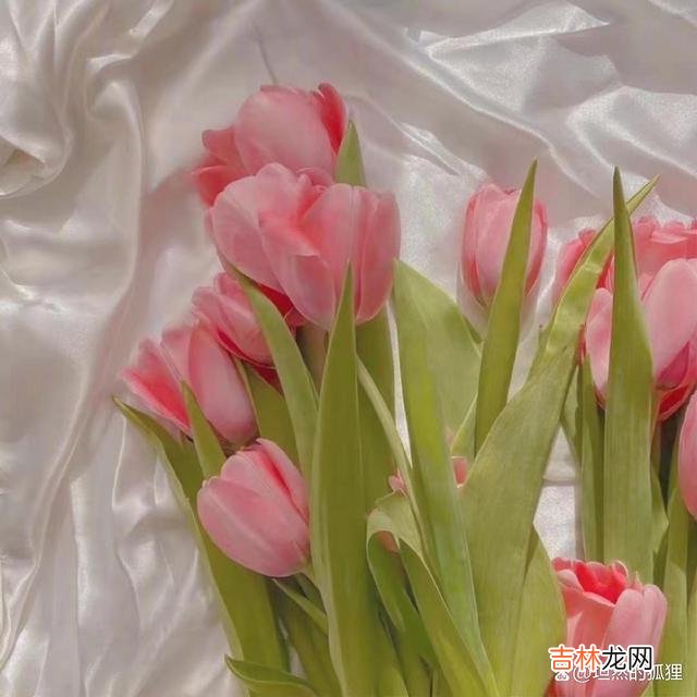 看到一句话：世间万事 一个已婚男人，把你当作“情人”，这本身就是他的机会主义在作祟