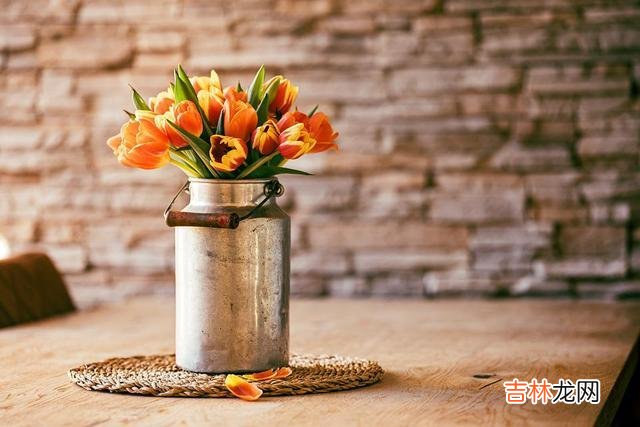 人生到了中年 晚年保障和安全感不是别人，也不是婚姻，而是以下两样东西
