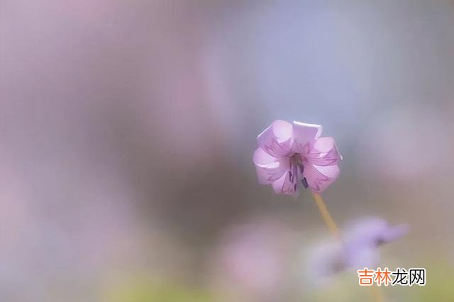 一首火遍大江南北的《真心英雄》中唱到：“不经历风雨 一个人经常做这两件事，说明他的思想境界高于常人，格局高远