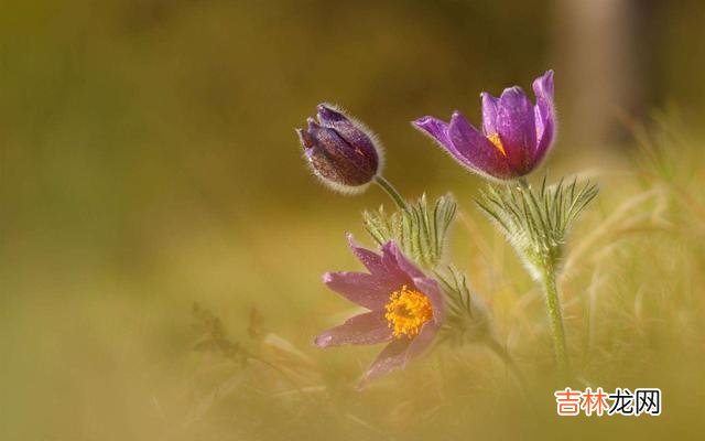 如果一个人心眼很坏 生活中,一个人经常有这三种特征,不管谁都别深交了