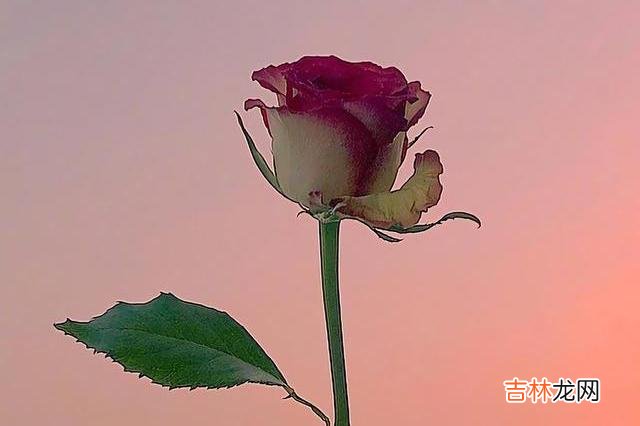两个人有没有真心爱过彼此 真心爱过的人，分手后一定不会做这三件事