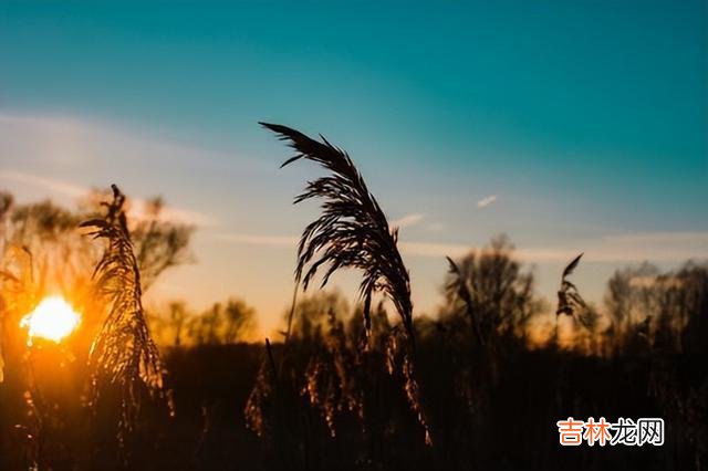 《论语》中说：四十而不惑 人过六十，就请收起你的热情，扔掉以下三种关系