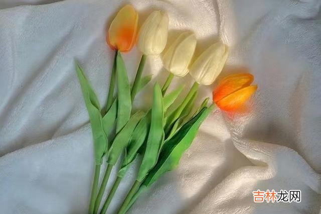 在我们的想象里 人性经不起高估，有些人不愿意拉一把自己的家人，原因很现实