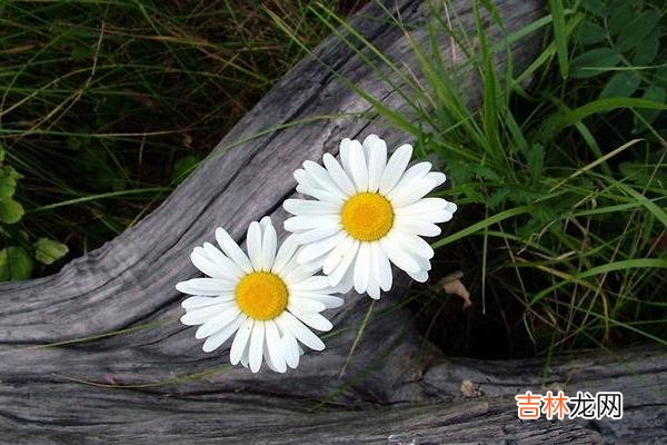 人到中年 人到中年，要学会让自己稳、静并且享受独处