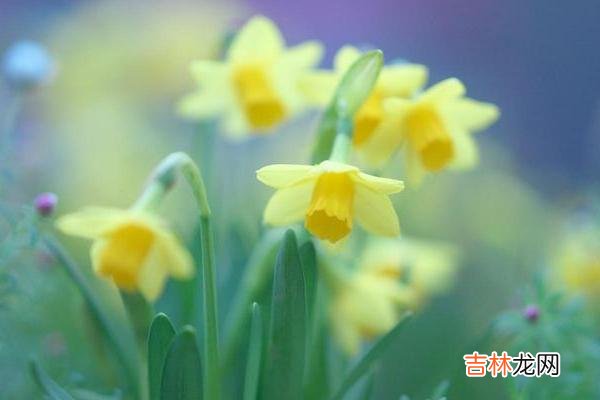 人到中年 人到中年，要学会让自己稳、静并且享受独处