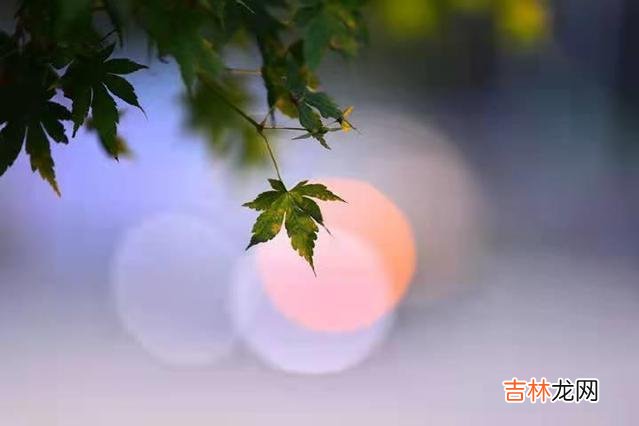 感情不是一个人的独角戏 女人在这三个时刻联系你，多半是把你当备胎利用了，要留个心眼