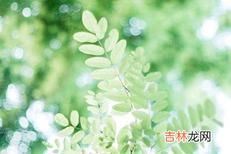人生在世 一个经常把三句挂在嘴边的人，绝非纯良之辈