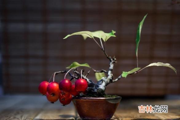 现如今 真正好的婚姻，容不下任何的利用和算计