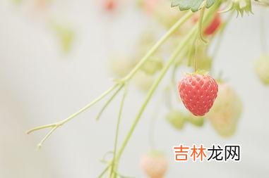 现如今 真正好的婚姻，容不下任何的利用和算计