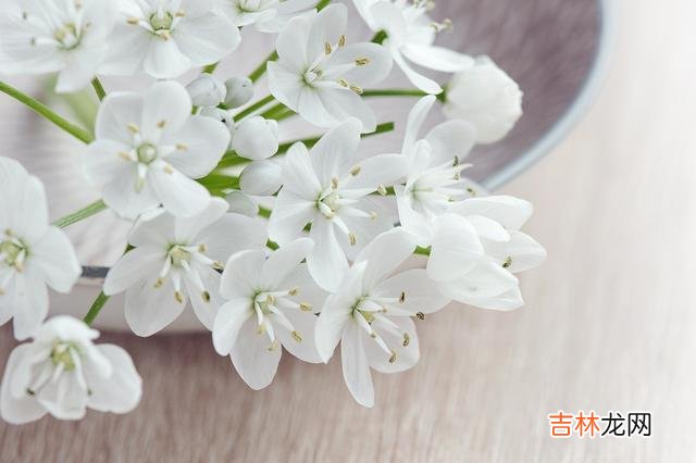 人到中年的夫妻 中年夫妻，不要太高估枕边人，有几件事你要格外留心