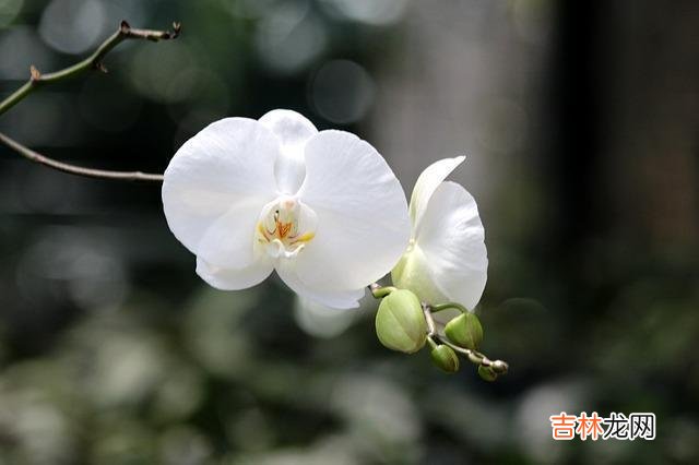 人到中年的夫妻 中年夫妻，不要太高估枕边人，有几件事你要格外留心