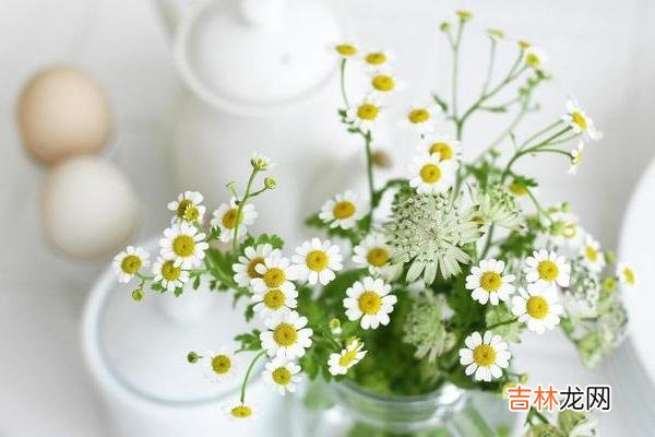 承认长大以后 生活中有多少人把兄弟姐妹当成家人，原因就在这里