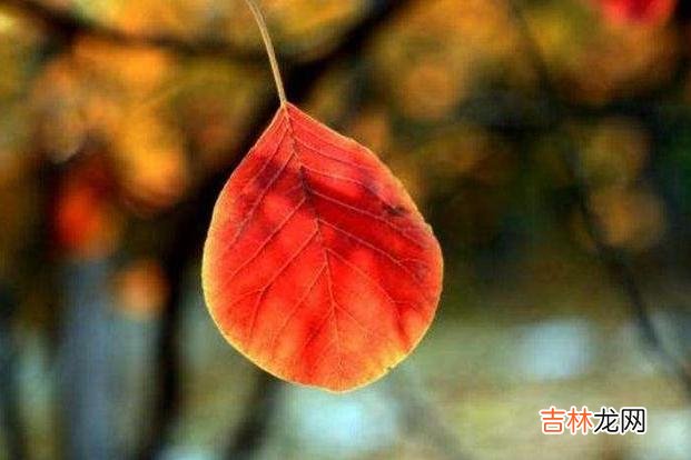 我从来不觉得物质上的贫穷 一个人穷惯了，至少会有以下三个明显的恶习，你最好一条也别占