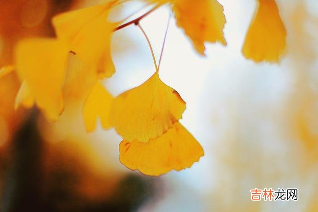 世界上的亿万富翁那么多 见不得你过得好的人,其实都不值得深交