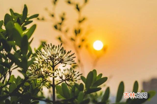 人到中年 人到中年,这三种亲戚最好避而远之