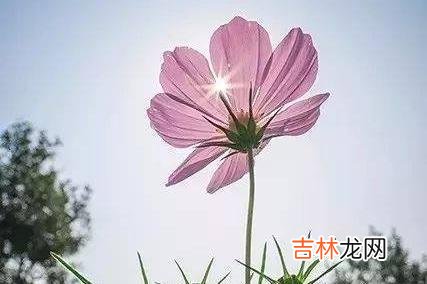 儿女的婚姻大事 父亲的忠告：男人没有主动给你这三样，再爱也别嫁
