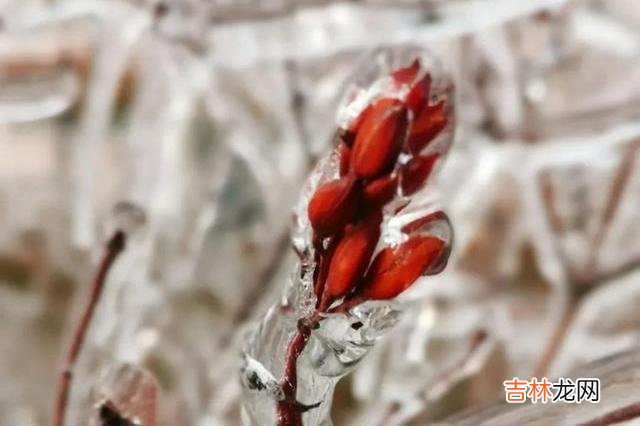 儿女的婚姻大事 父亲的忠告：男人没有主动给你这三样，再爱也别嫁