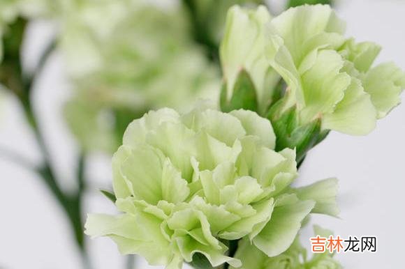 过了40岁我才明白，你想要嫁得好，最关键的是你自己首先要够好