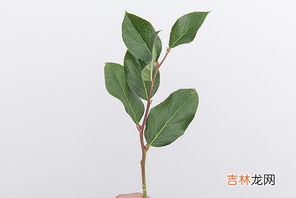 过了40岁我才明白，你想要嫁得好，最关键的是你自己首先要够好