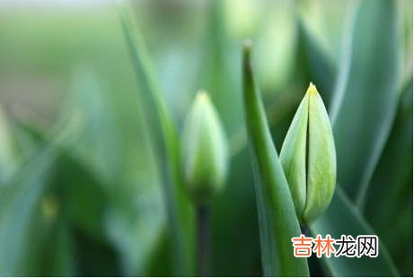 过了40岁我才明白，你想要嫁得好，最关键的是你自己首先要够好