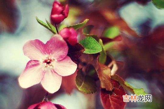 一段关系结束了 一个男人放不下一个人，会有以下三个表现