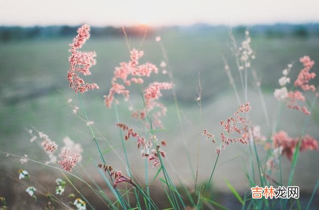 女人有没有嫁对人 夫妻相处，老公经常对你做这四个表现，说明你嫁对了