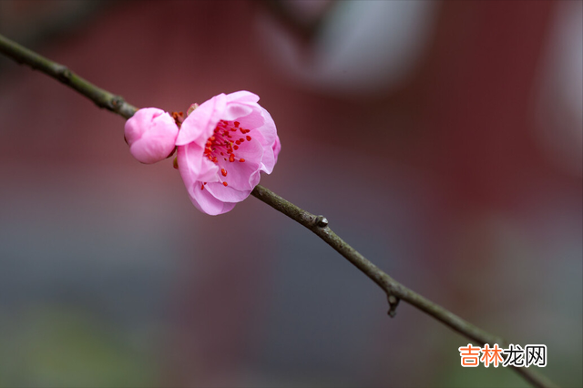 正所谓养儿一百岁 父母对于子女的三种忙，不管你多爱他们都要懂得拒绝